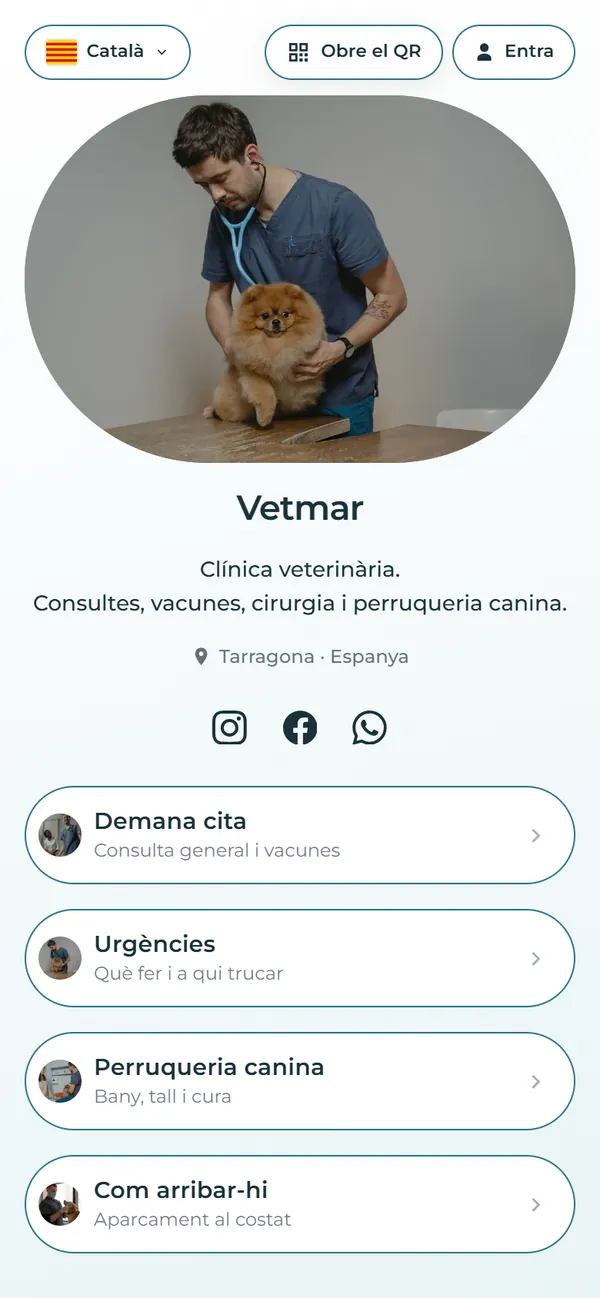 Contenidor d'exemple de una clínica veterinària inventada, Vetmar, vist al mòbil